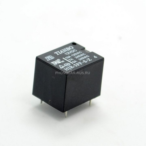 155667